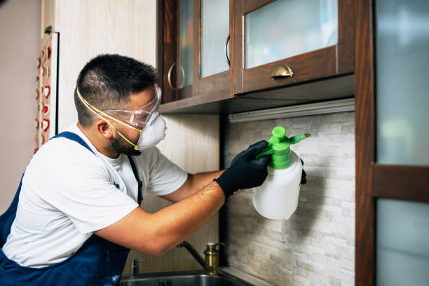 Wasp Removal Services in Centerville, MN